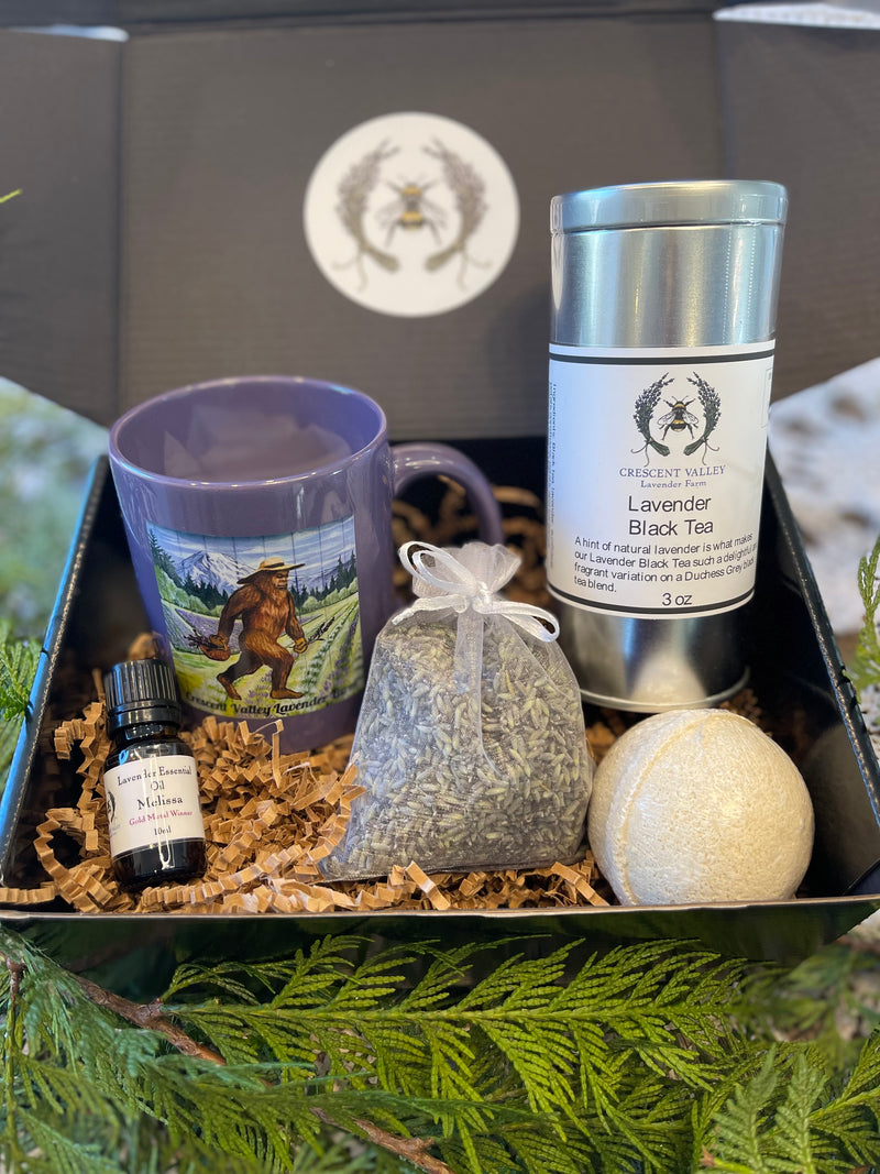 christmas lavender plant Christmas Gift Comfort Box – Crescent Valley Lavender Farm