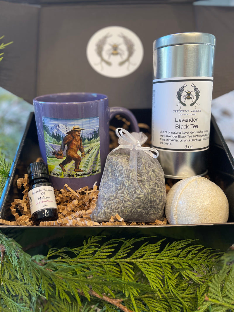 Christmas Gift Comfort Box